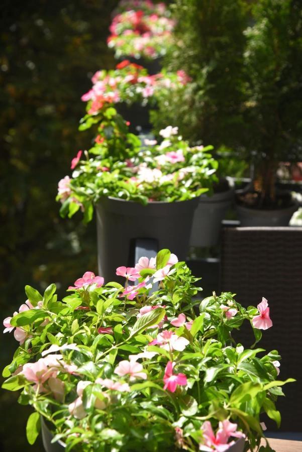 Dekart 2 Apartment Ni Dış mekan fotoğraf